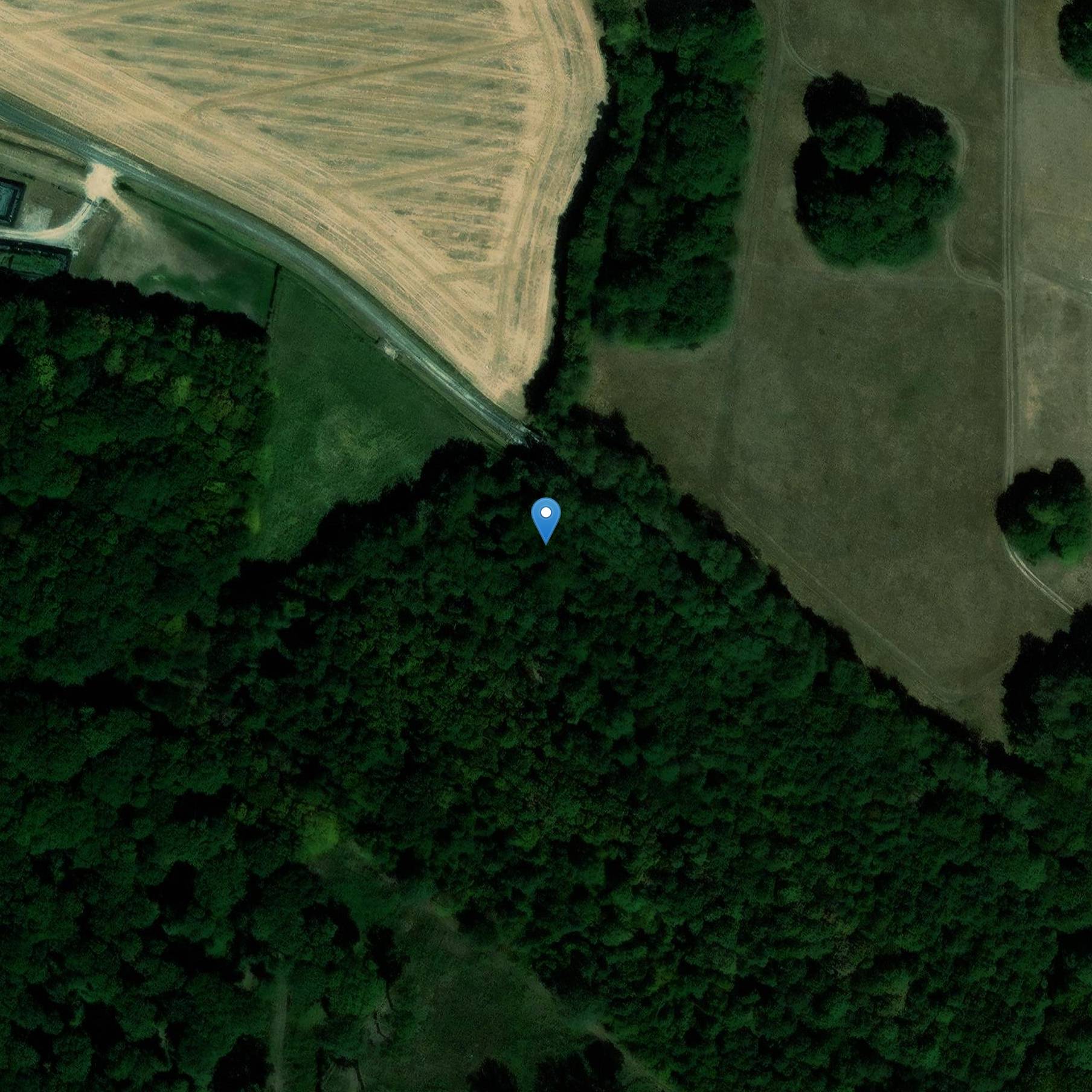 Photo de Goislardières木材区