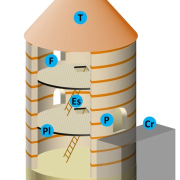Enceinte gallo-romaine de Tours