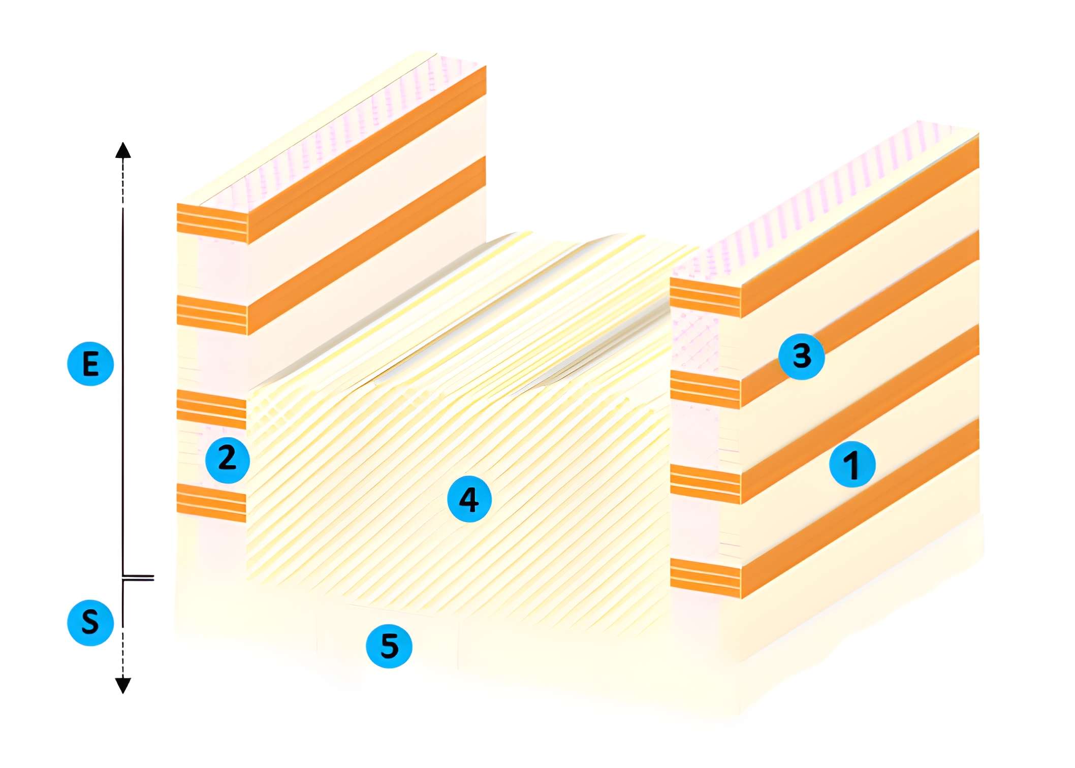 Enceinte gallo-romaine de Tours