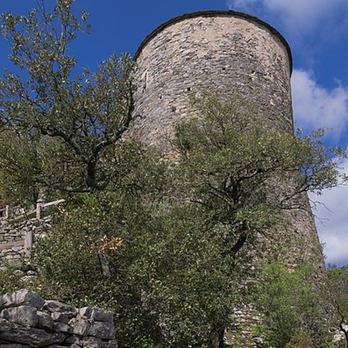 Photo de Ensemble castral dit castellas Saint-Michel de Mourcairol