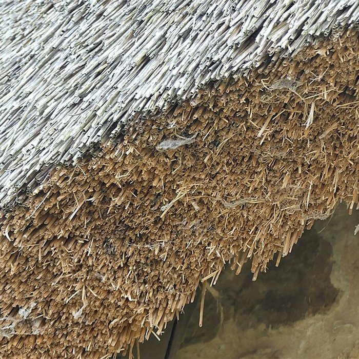 Photo de Ensemble rural de la Rivière à Saint-Éloy-les-Tuileries
