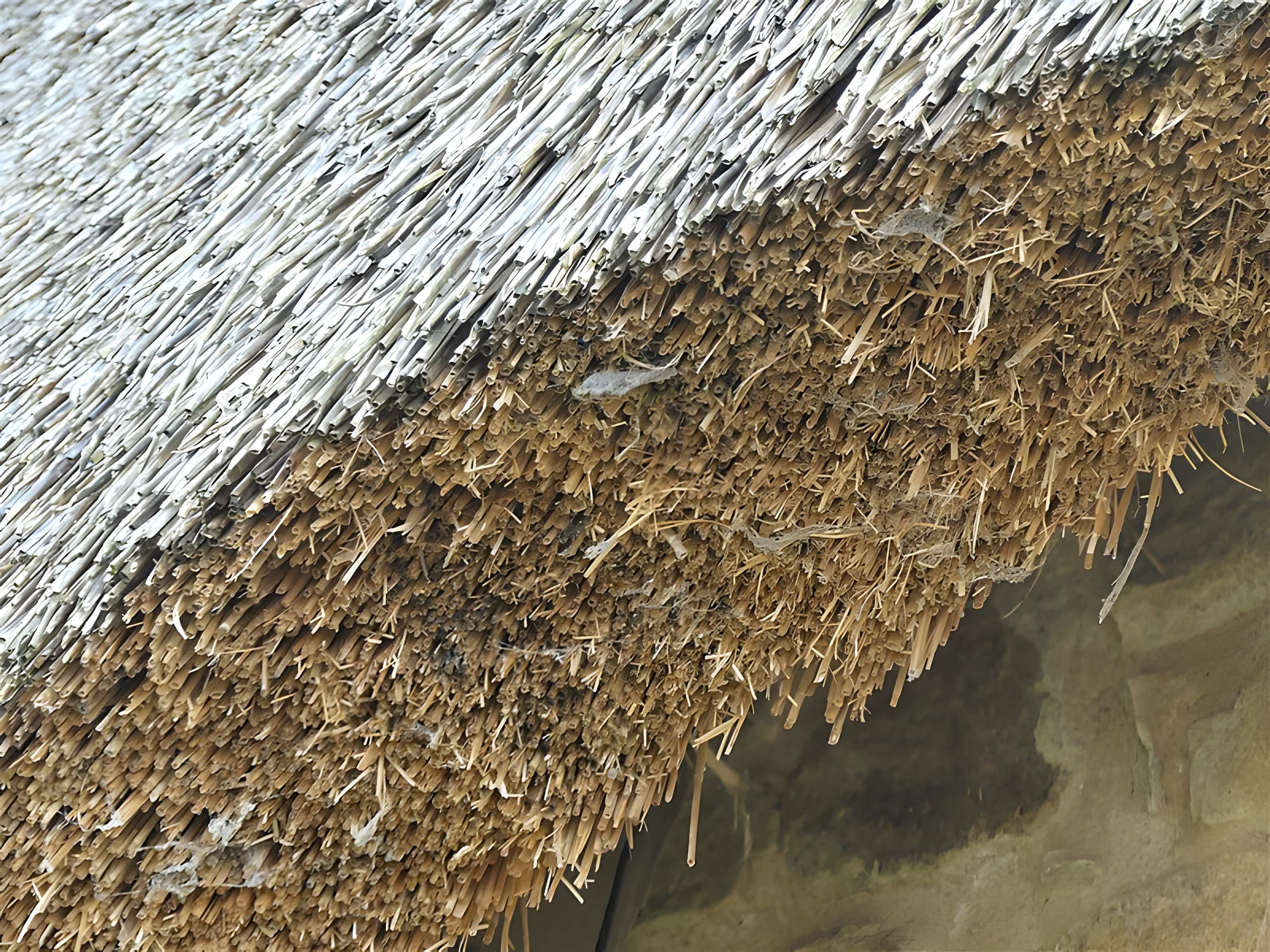 Ensemble rural de la Rivière à Saint-Éloy-les-Tuileries