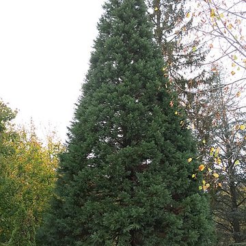 Établissement thermal de Luxeuil-les-Bains