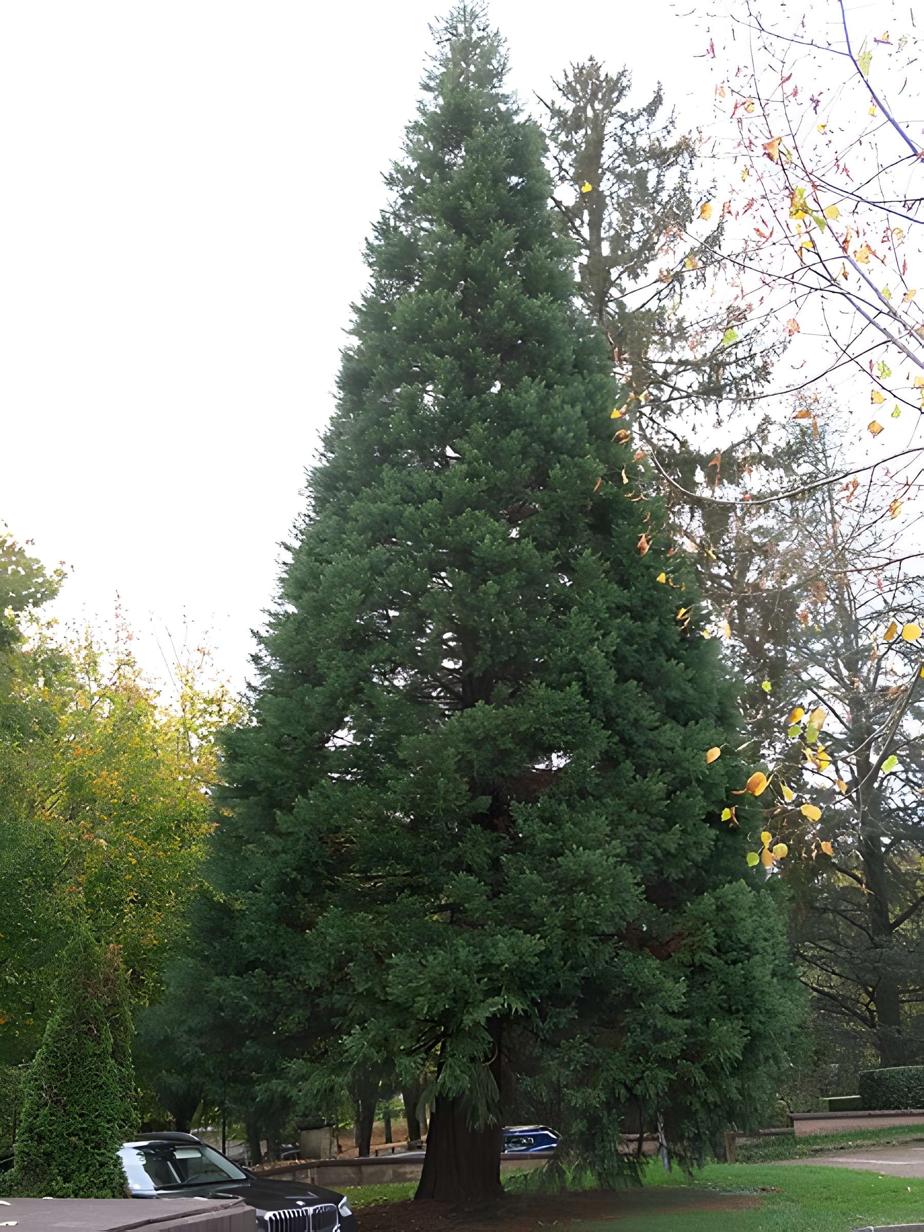 Établissement thermal de Luxeuil-les-Bains