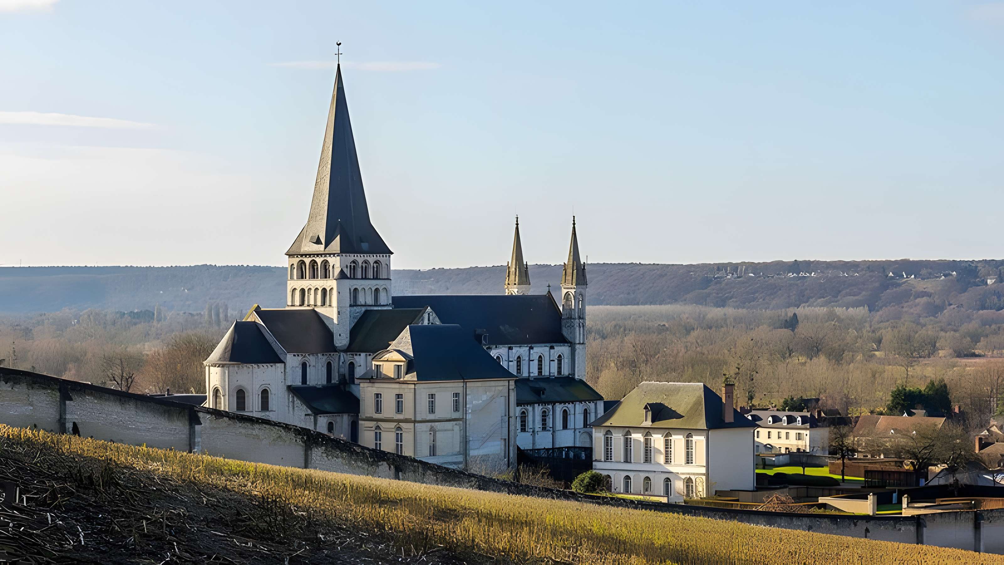 Abbaye Saint Georges de boscherville