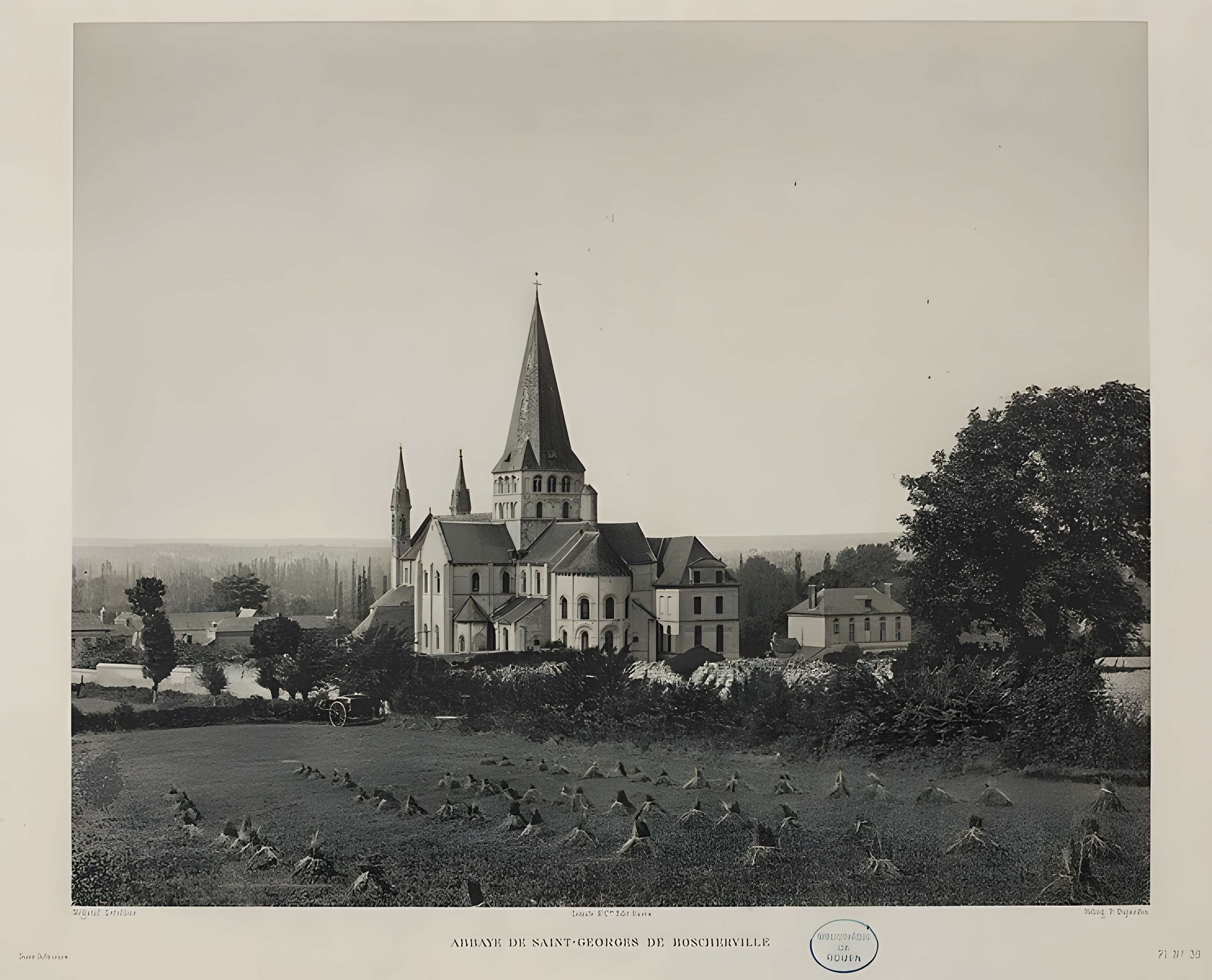 Abbaye Saint Georges de boscherville