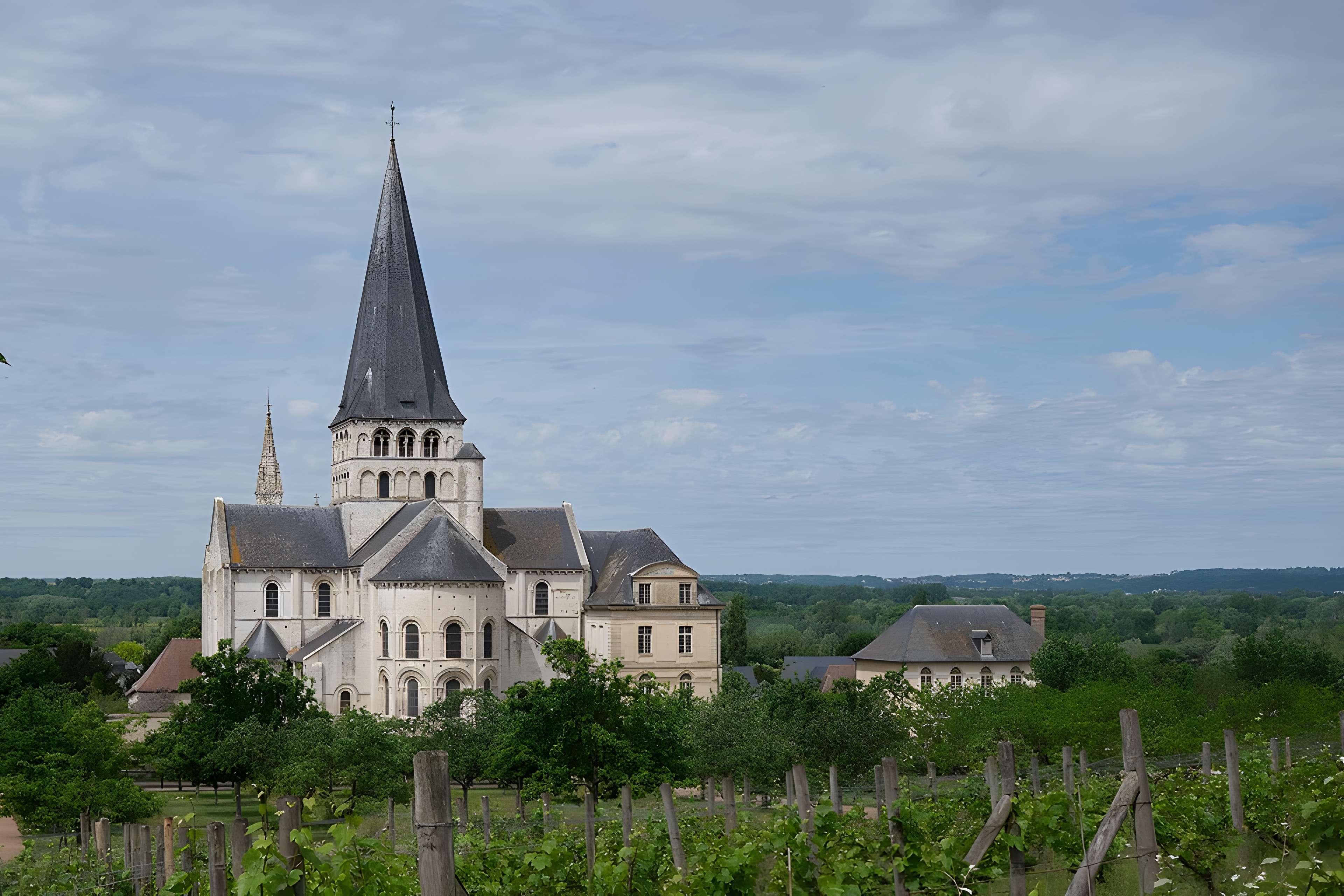 Abbaye Saint Georges de boscherville