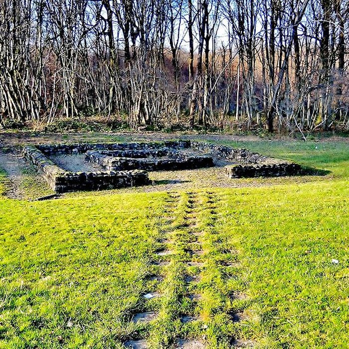 Photo de Fanum dOffemont