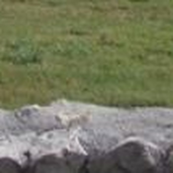 Photo de Ferme abbatiale du Louroux