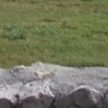 Ferme abbatiale du Louroux