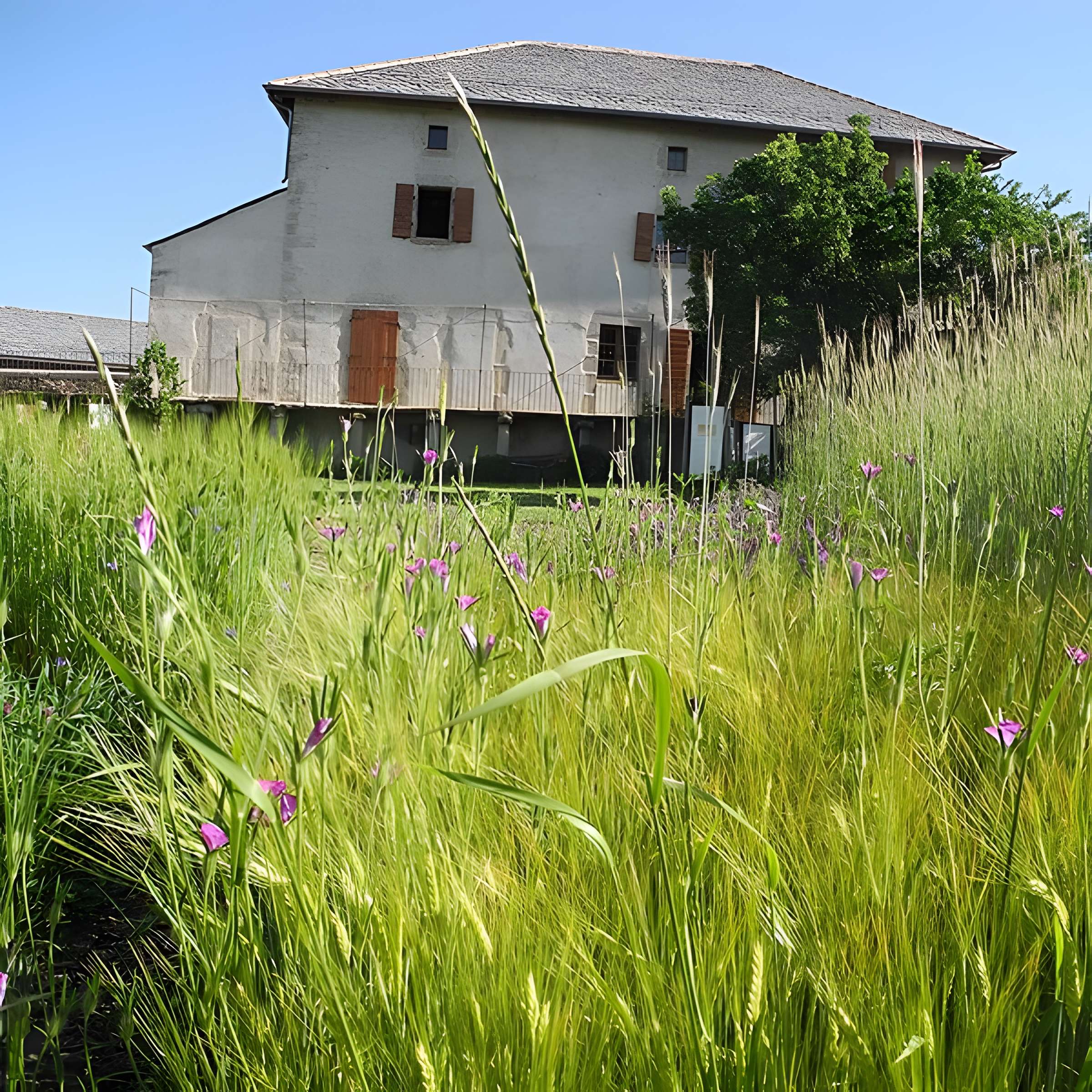 Ferme Cal Mateu de Sainte-Léocadie