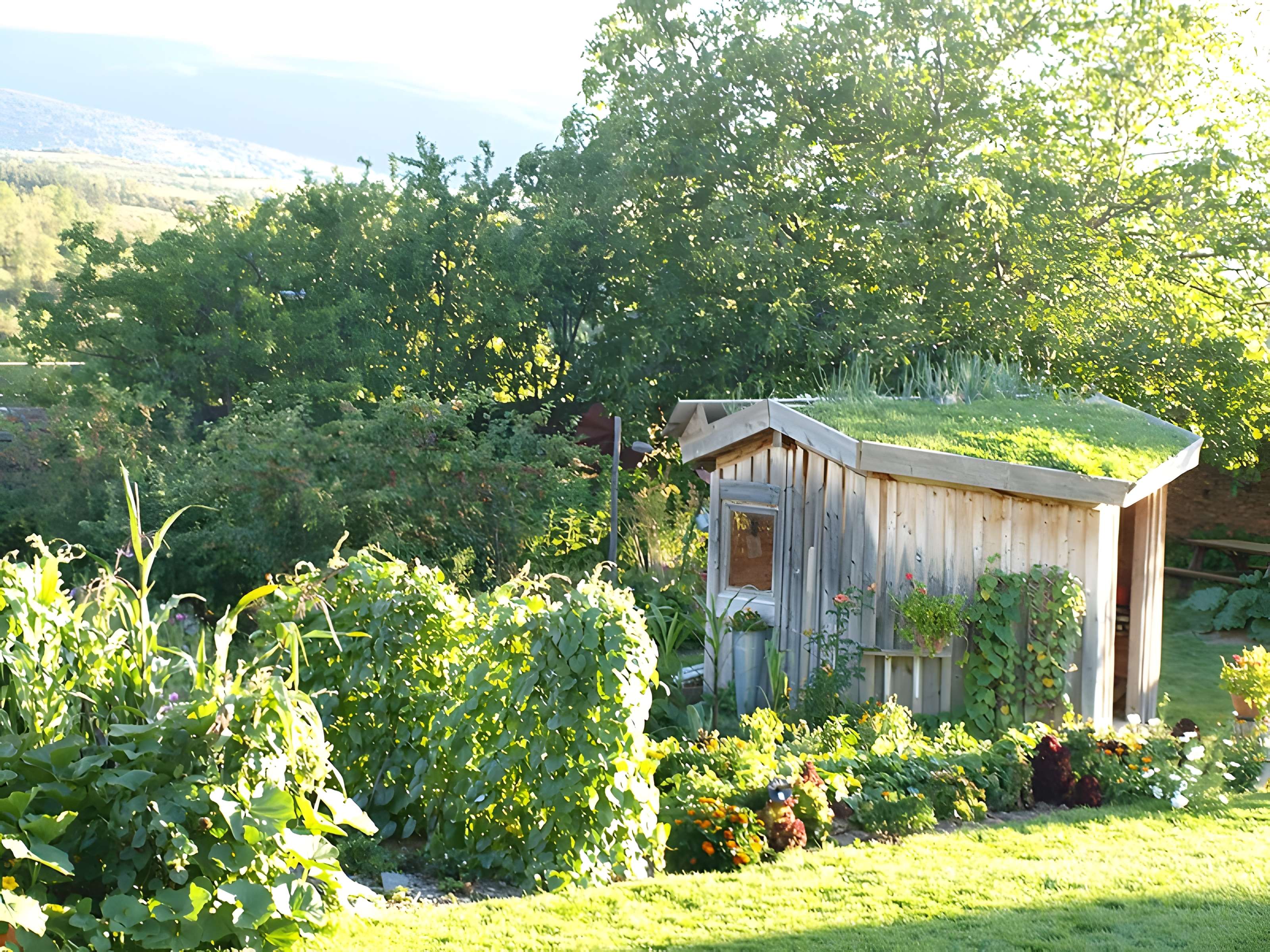 Ferme Cal Mateu de Sainte-Léocadie