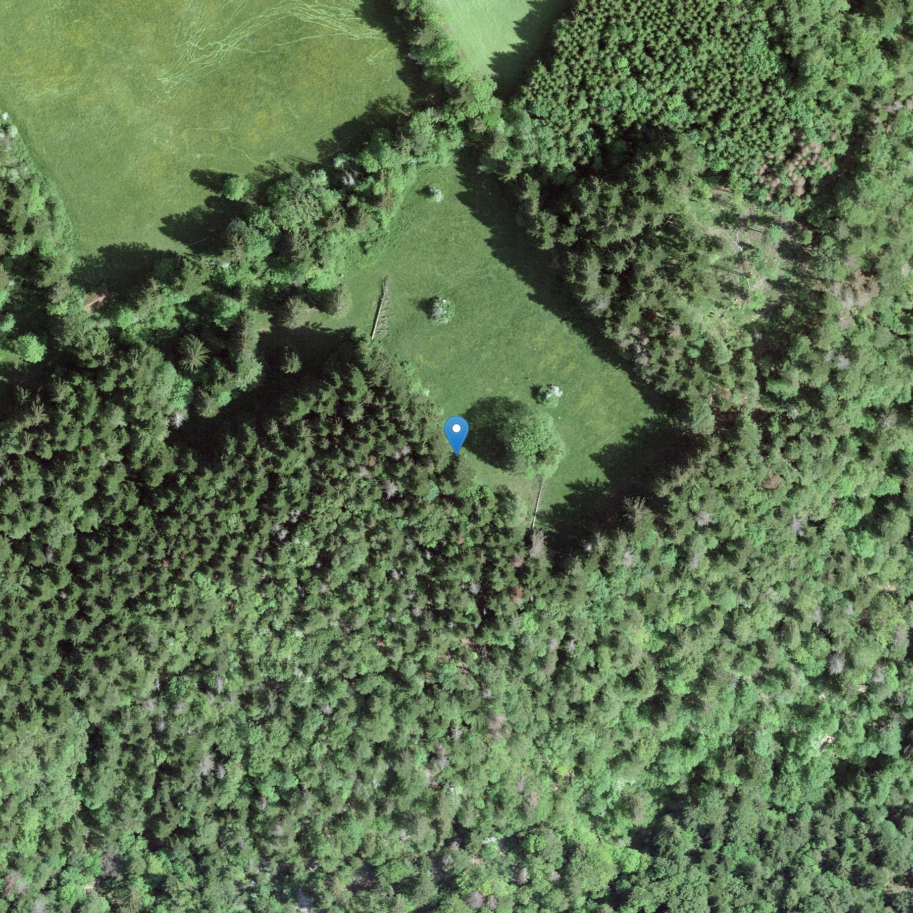 Photo de 大孔贝德布瓦农场