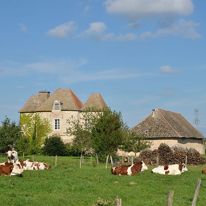 Photo de Ferme de la Cour Basse à Lux