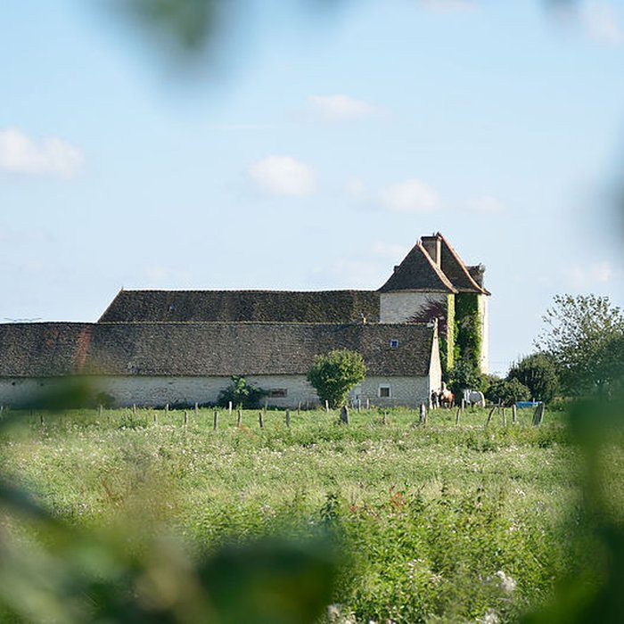 Photo de Ferme de la Cour Basse à Lux