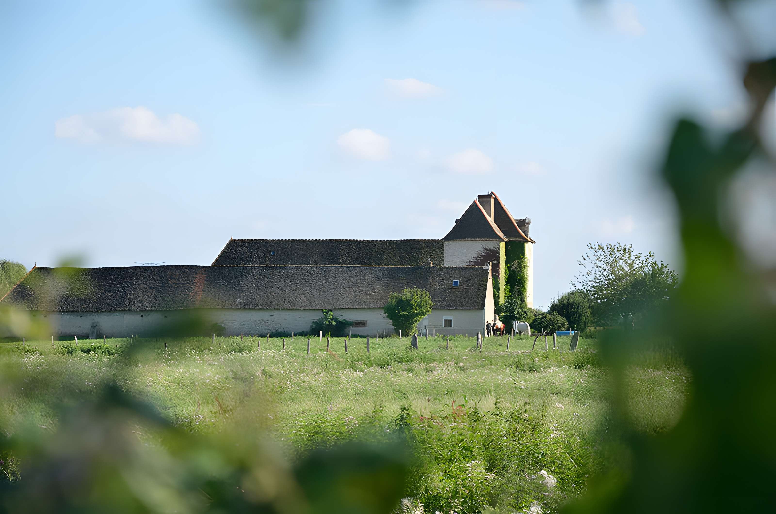 Ferme de la Cour Basse à Lux