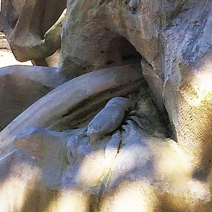 Photo de Fontaine Amédée-Larrieu de Bordeaux