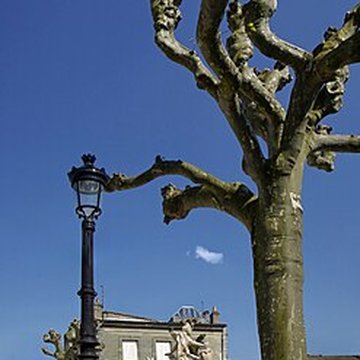 Fontaine Amédée-Larrieu de Bordeaux