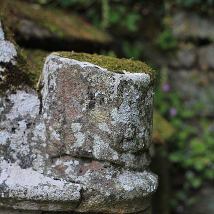 Photo de Fontaine de la Clarté à Baud