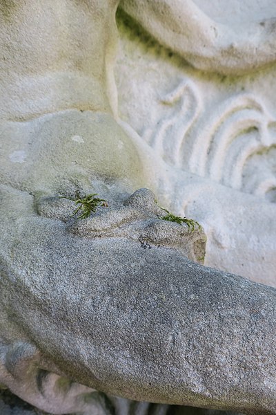 Fontaine de Neptune de Remiremont
