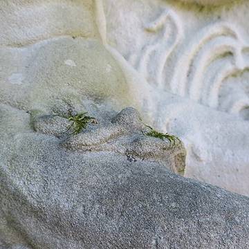 Fontaine de Neptune de Remiremont