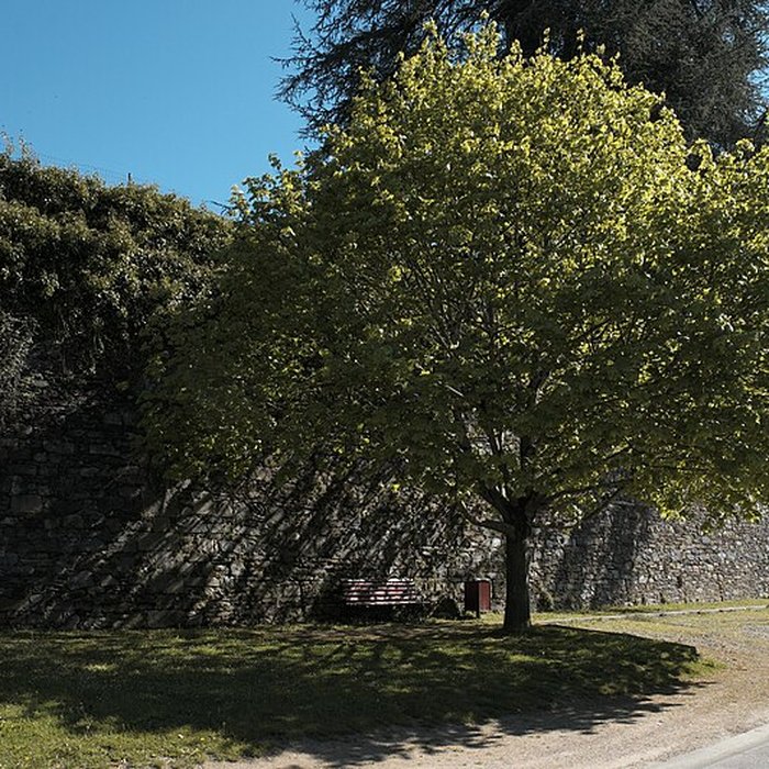 Photo de Abbaye Saint Pierre de Solignac