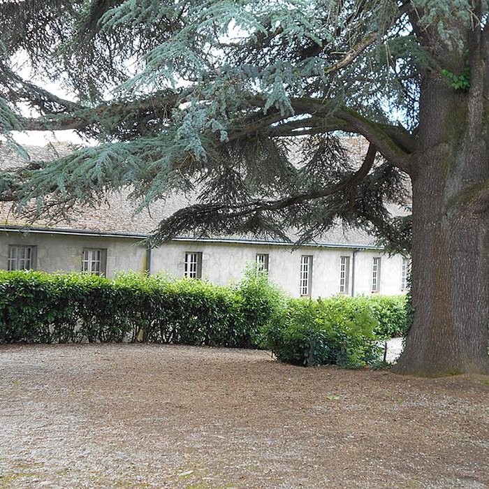 Photo de Abbaye Saint Pierre de Solignac