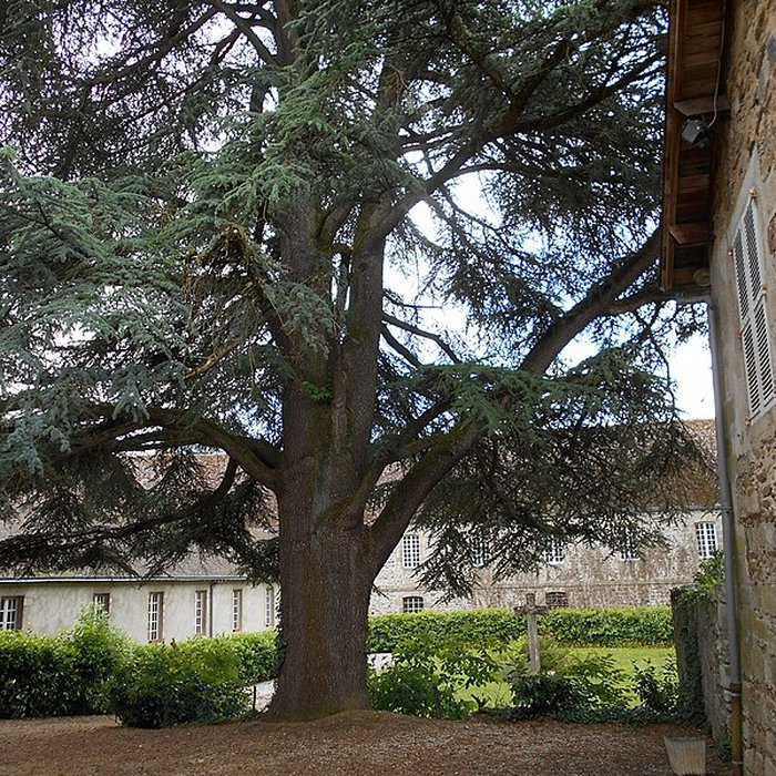 Photo de Abbaye Saint Pierre de Solignac