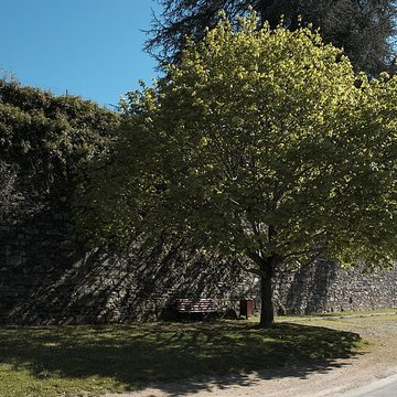 Abbaye Saint Pierre de Solignac