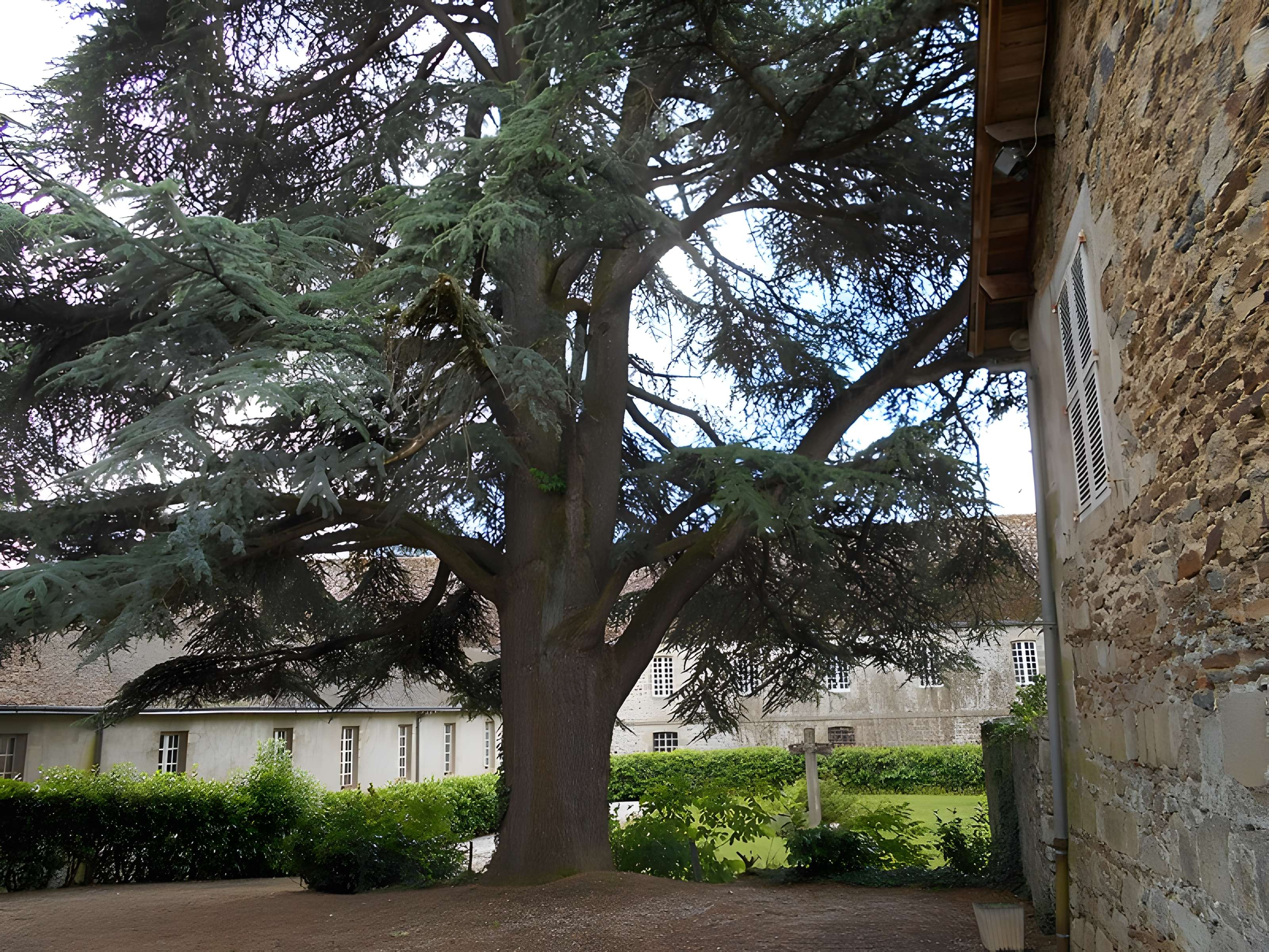 Abbaye Saint Pierre de Solignac