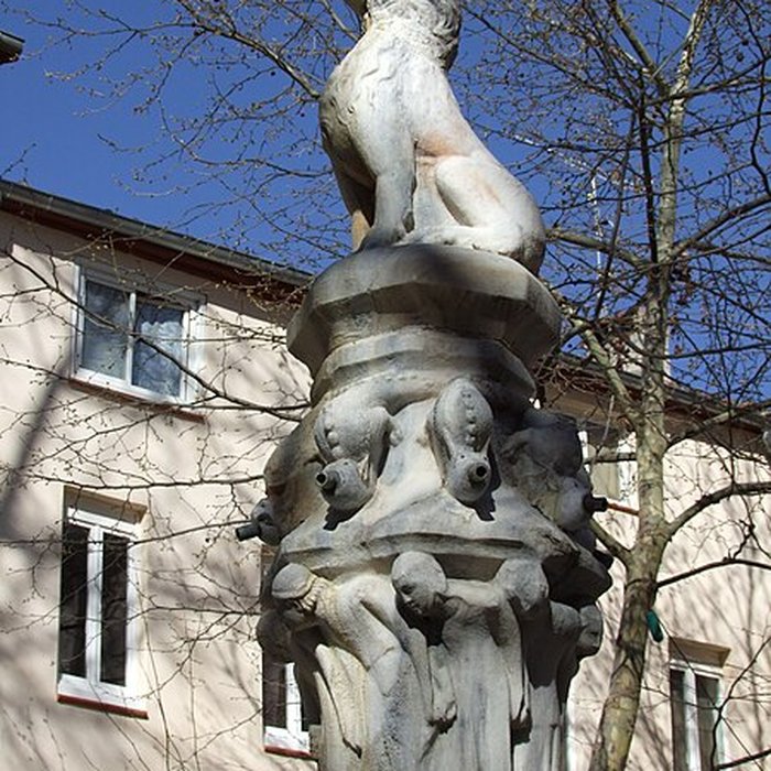 Photo de Fontaine des Neuf Jets de Céret