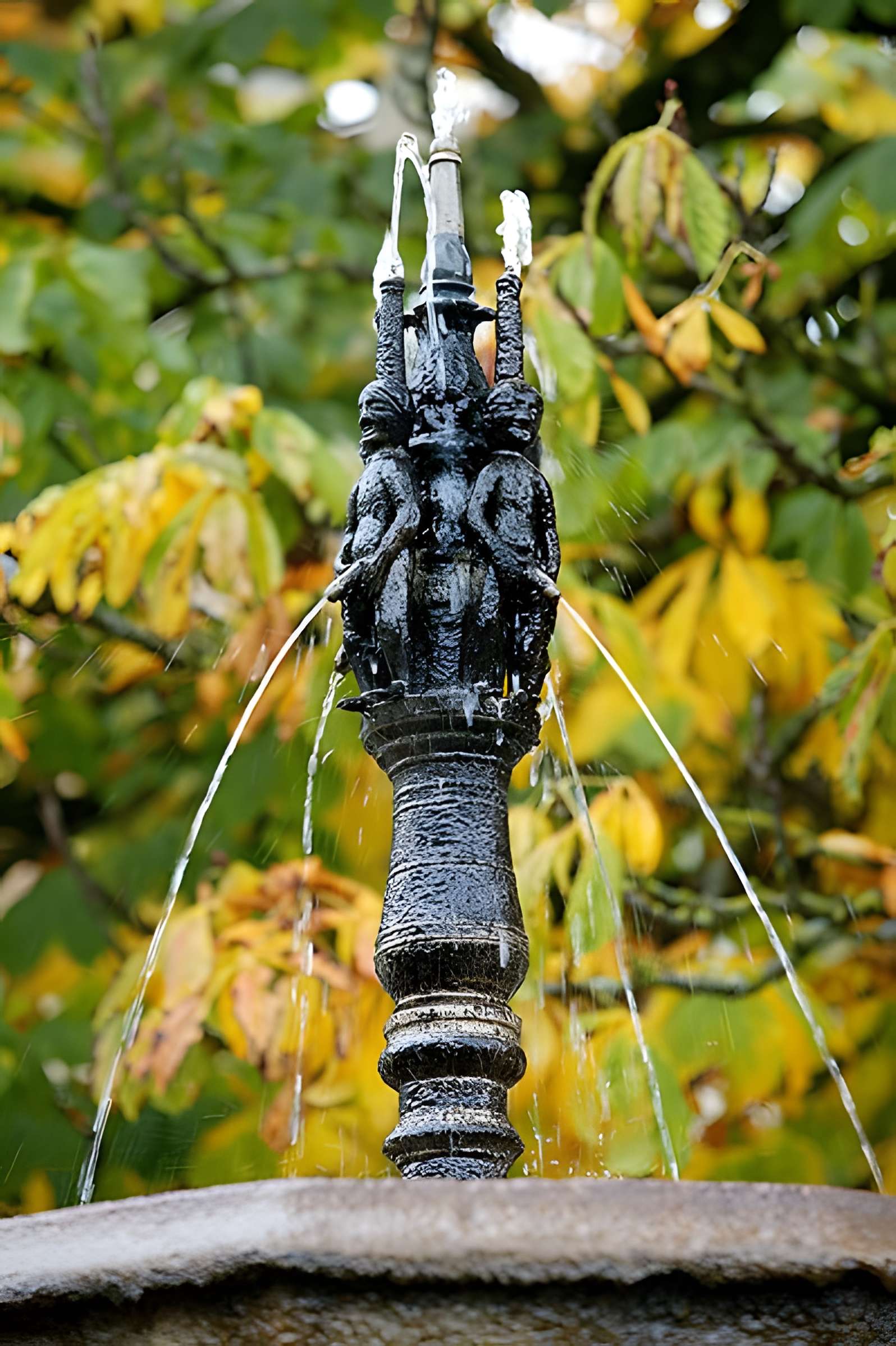 Fontaine des Pisseurs de Lacaune