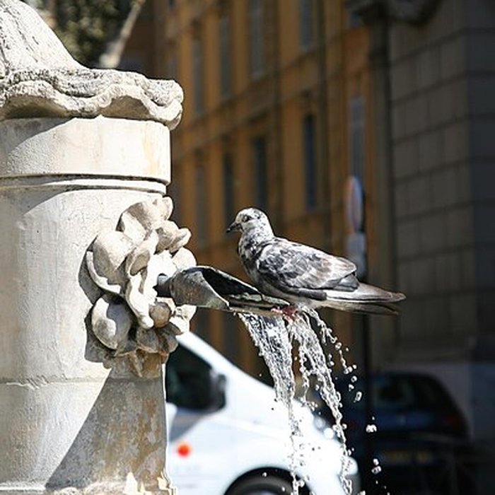 Photo de Fontaine des Prêcheurs dAix-en-Provence