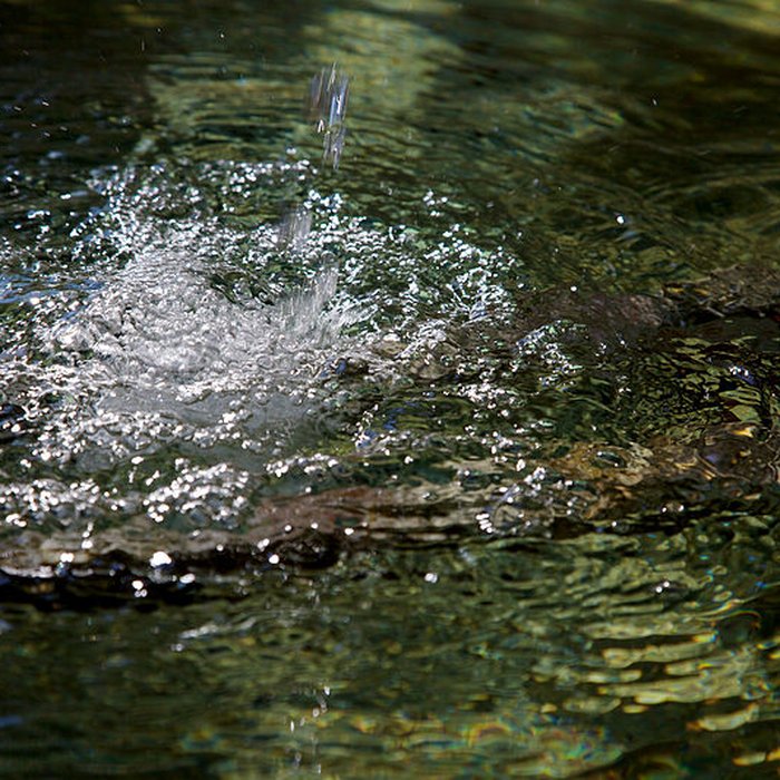 Photo de Fontaine des Quatre-Dauphins dAix-en-Provence