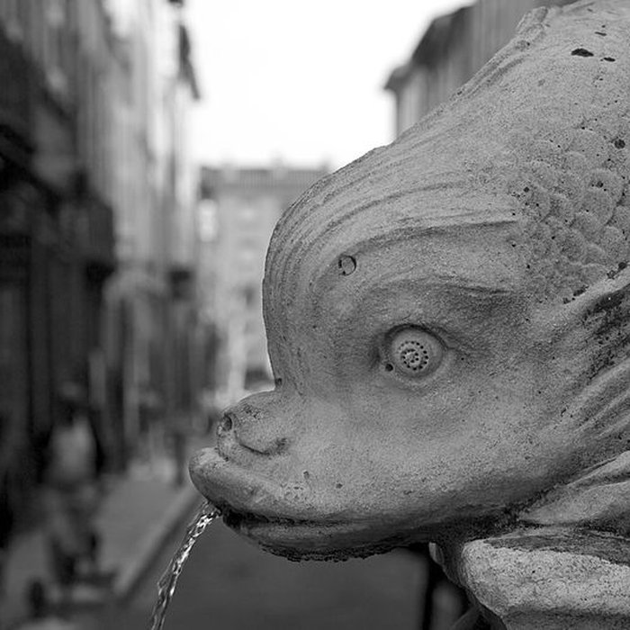 Photo de Fontaine des Quatre-Dauphins dAix-en-Provence