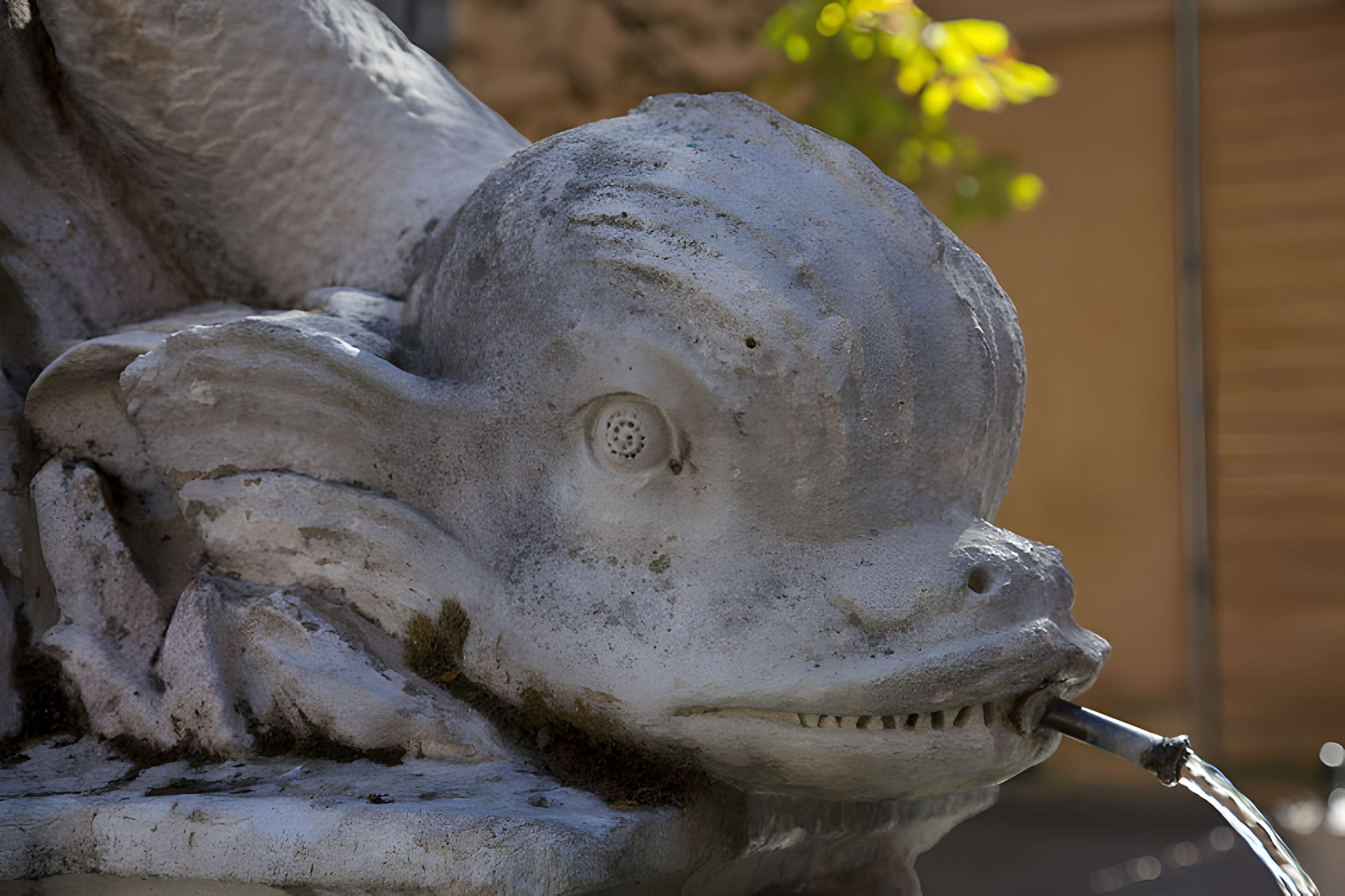 Fontaine des Quatre-Dauphins d'Aix-en-Provence