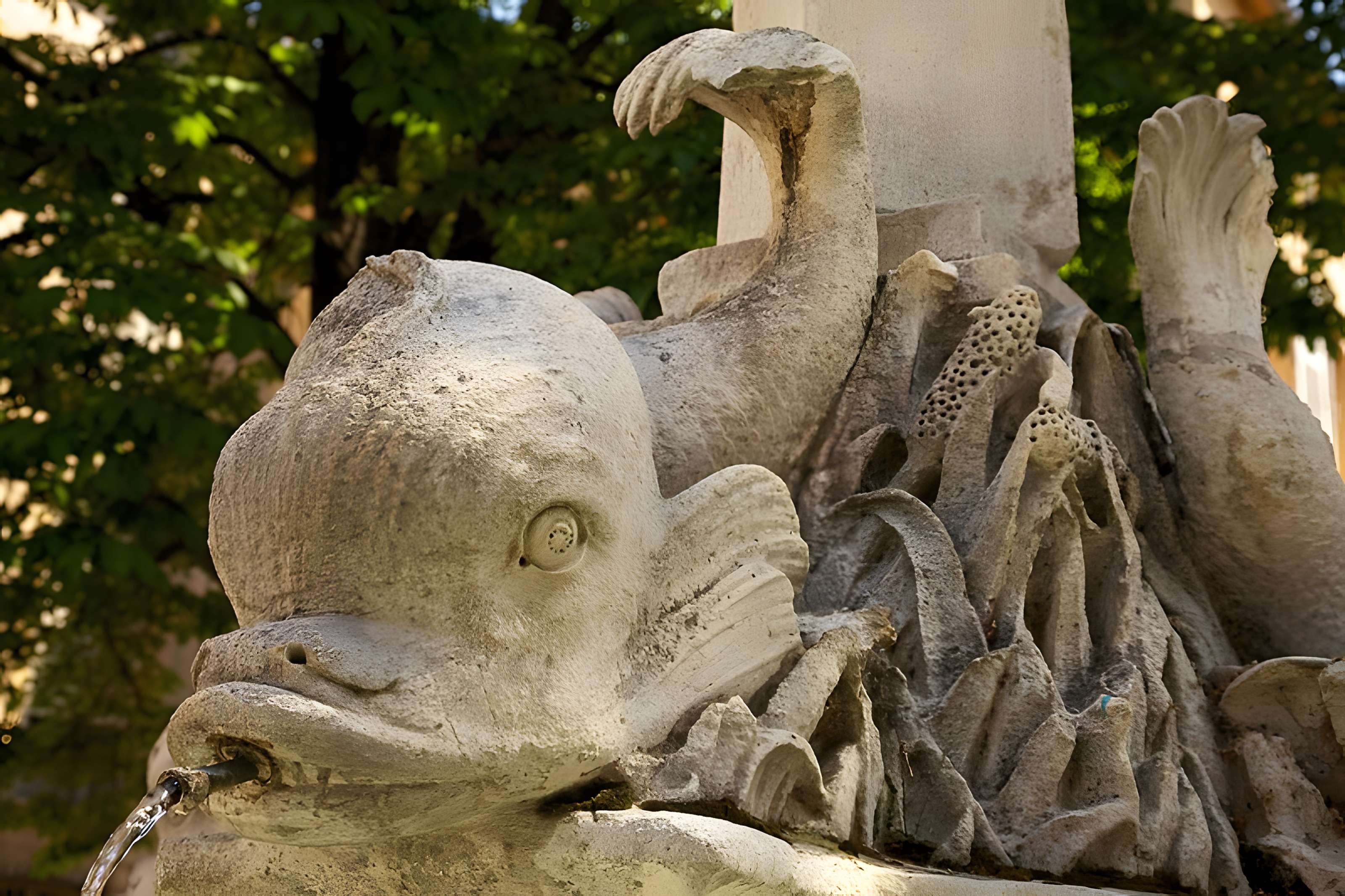 Fontaine des Quatre-Dauphins d'Aix-en-Provence