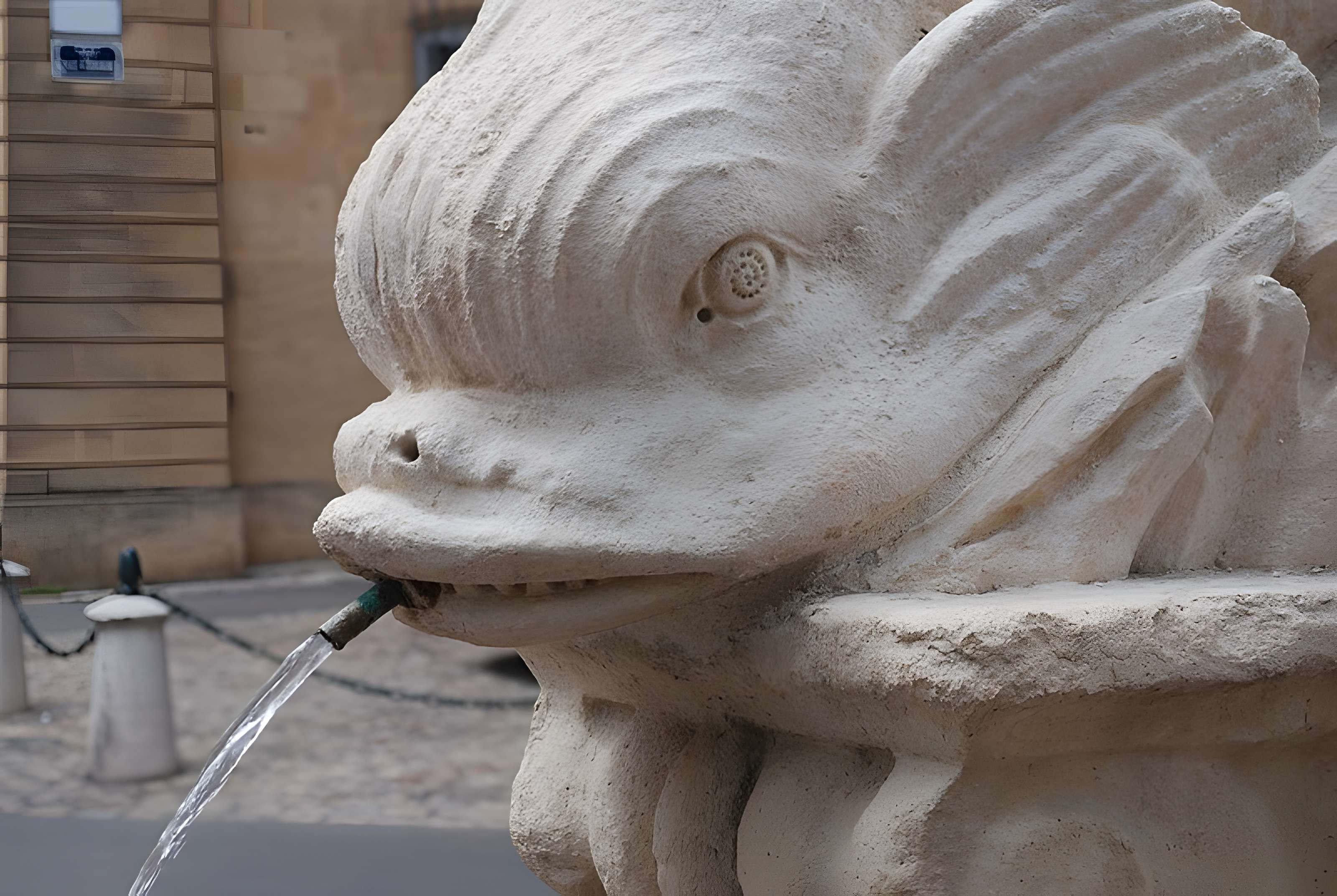 Fontaine des Quatre-Dauphins d'Aix-en-Provence