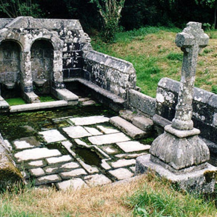 Photo de Fontaines dites du Coq, de la Vierge et des Sept Saints de Bretagne