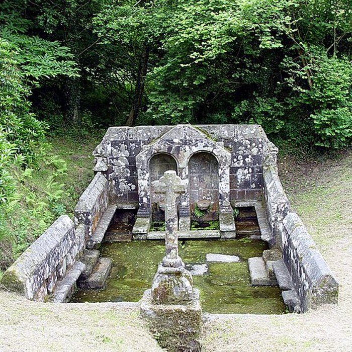 Photo de Fontaines dites du Coq, de la Vierge et des Sept Saints de Bretagne