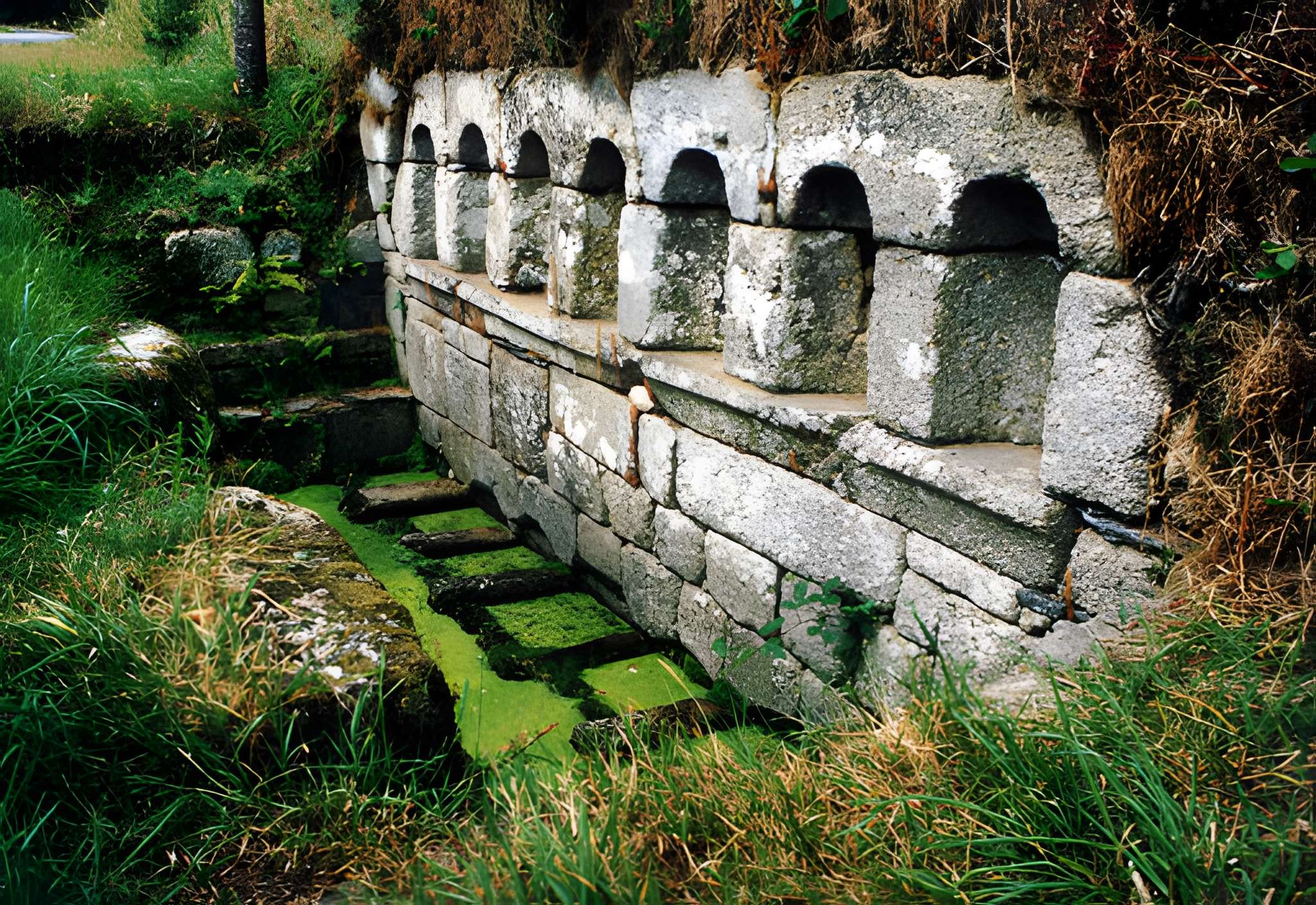 Fontaines dites du Coq, de la Vierge et des Sept Saints de Bretagne