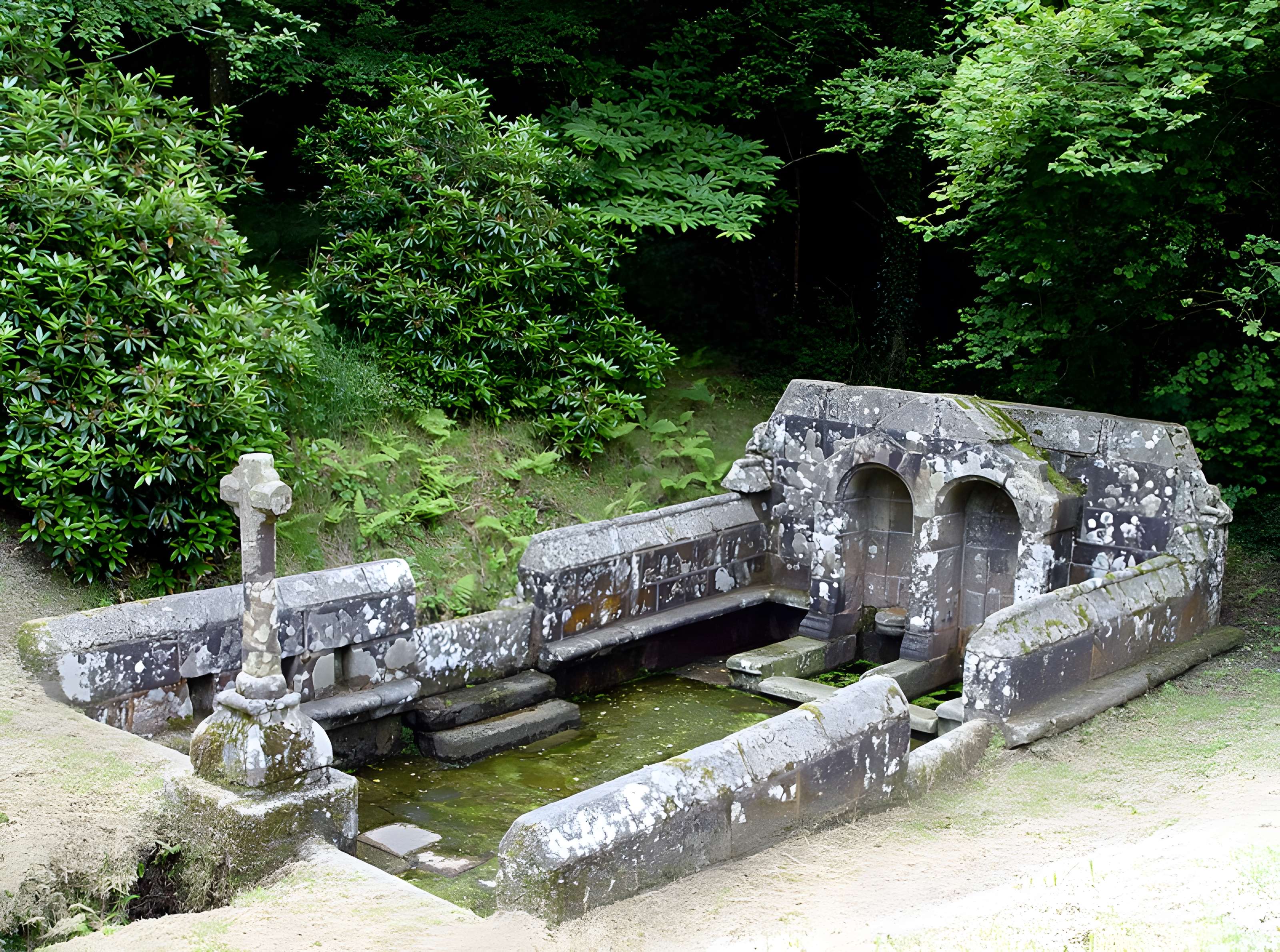 Fontaines dites du Coq, de la Vierge et des Sept Saints de Bretagne