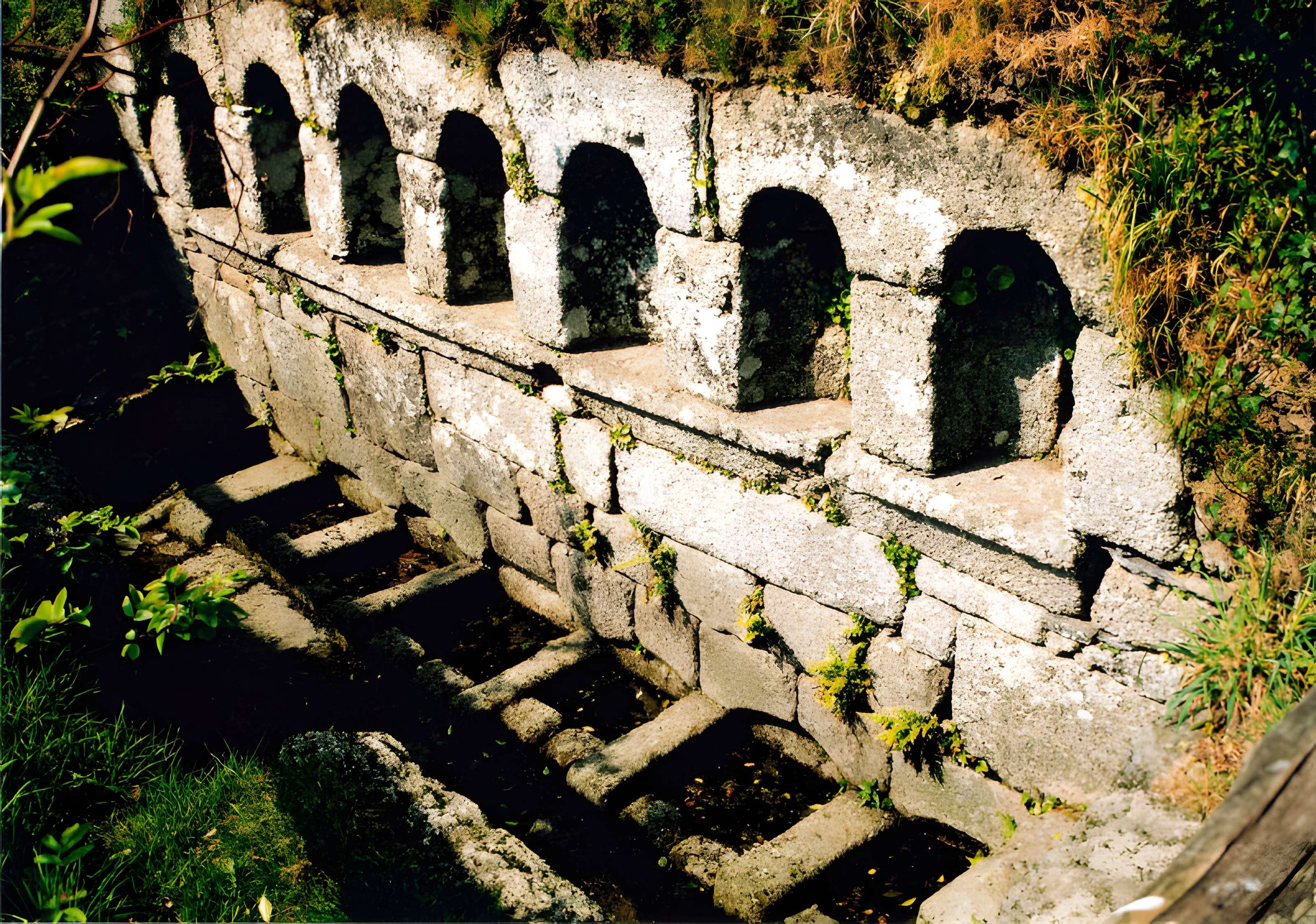Fontaines dites du Coq, de la Vierge et des Sept Saints de Bretagne