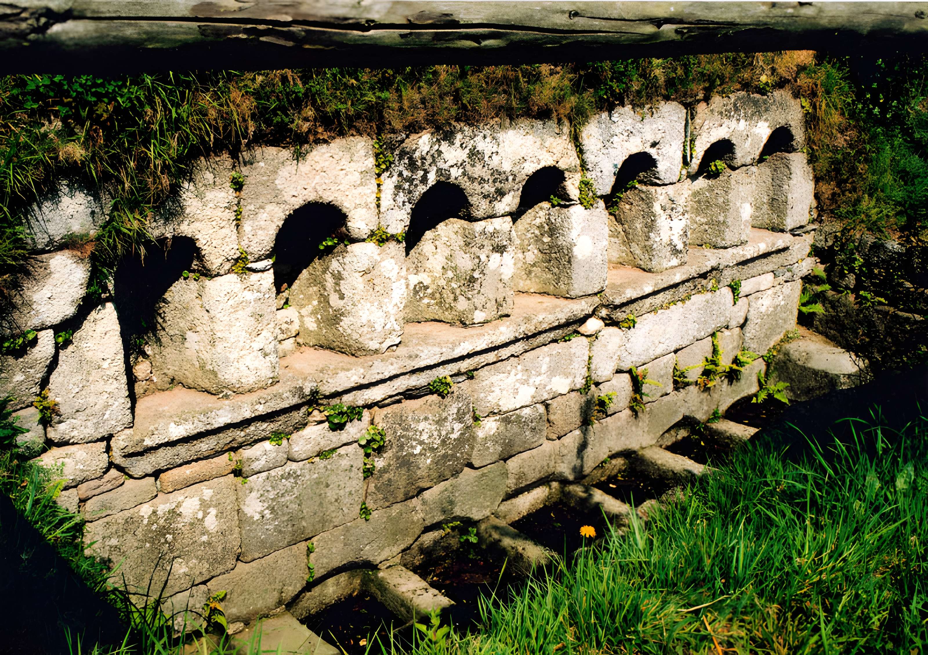 Fontaines dites du Coq, de la Vierge et des Sept Saints de Bretagne
