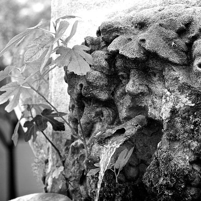 Photo de Fontaine du cours Sextius dAix-en-Provence