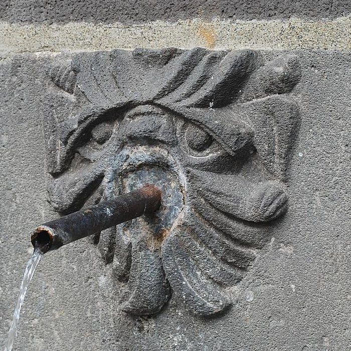 Photo de Fontaine du Lion de Clermont-Ferrand