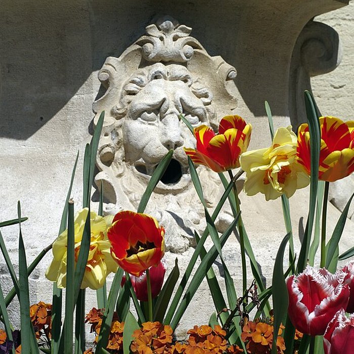 Photo de Fontaine François-Devosge de Gray