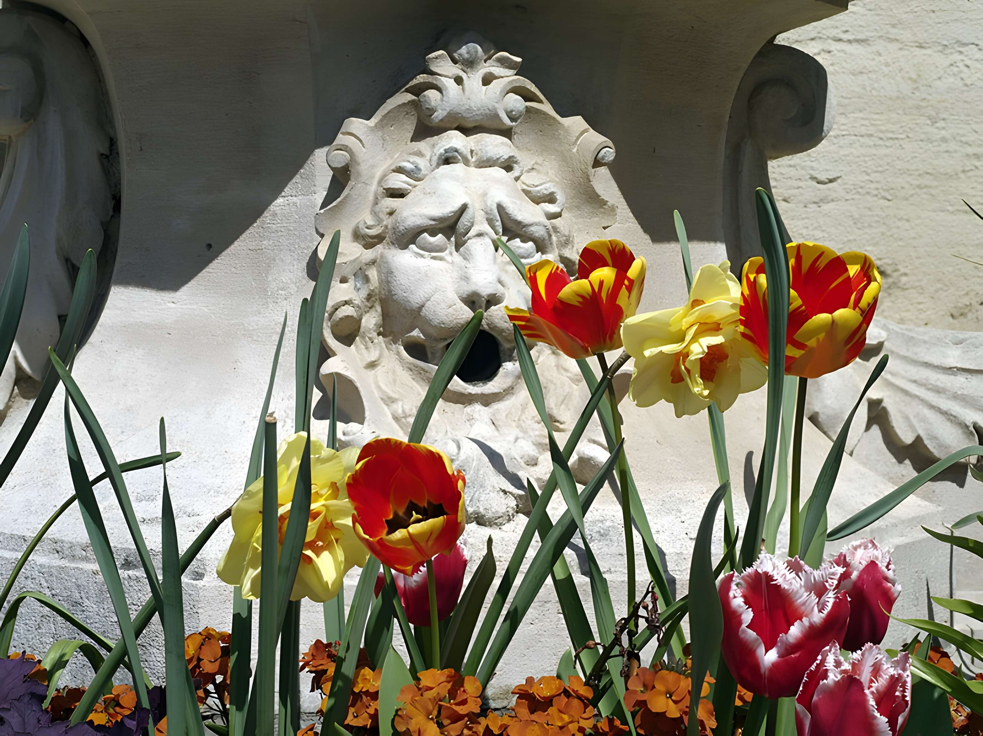 Fontaine François-Devosge de Gray