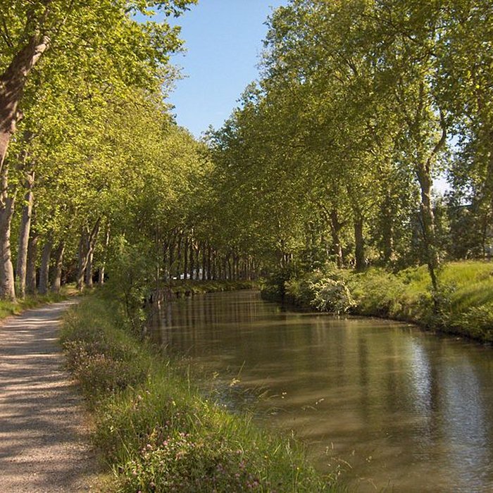 Photo de Fontaine Place Saint-Étienne à Toulouse