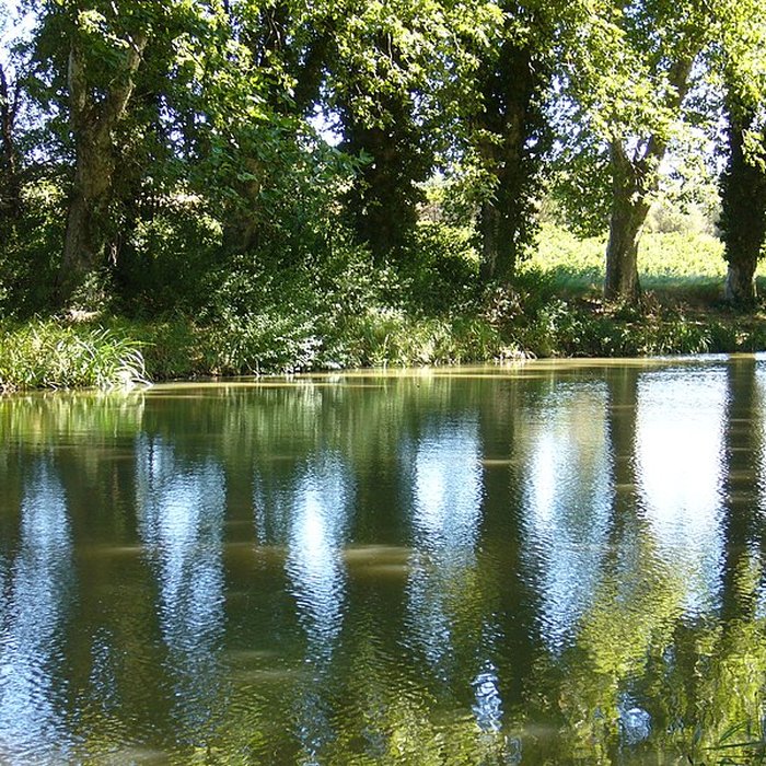 Photo de Fontaine Place Saint-Étienne à Toulouse